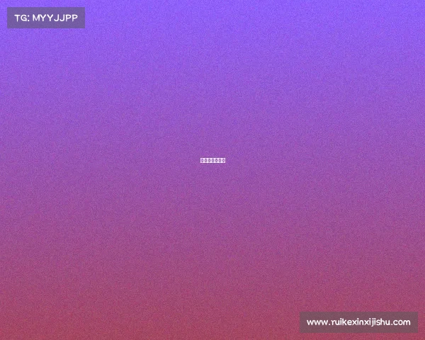 耐力赛车多少钱