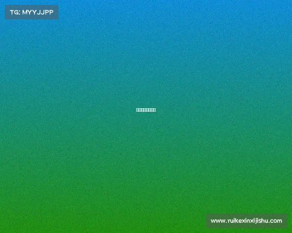 女排联赛实时比分